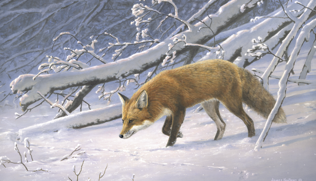 Triumph Calendars Wildlife Art by the Hautman Brothers Calendar-3111