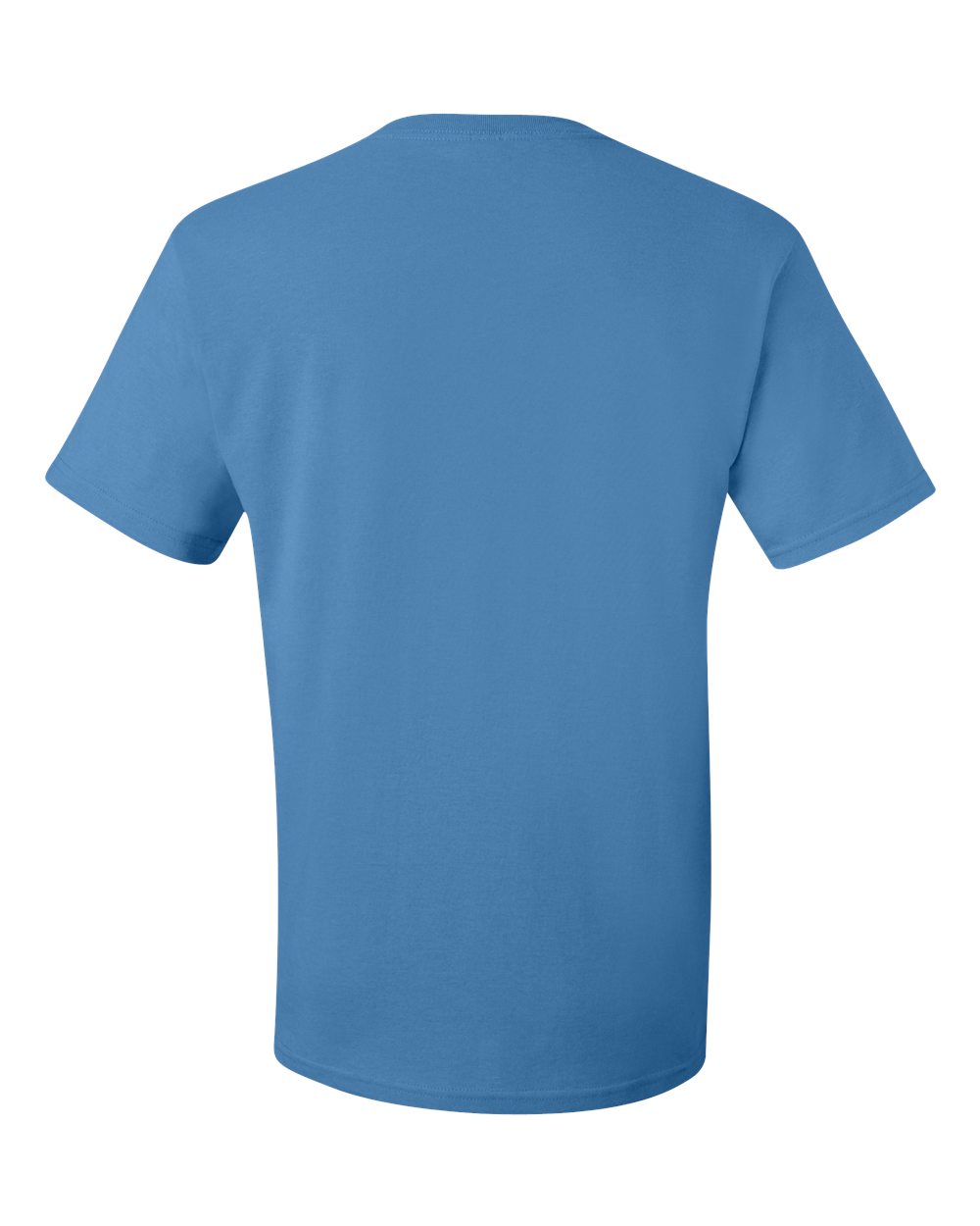 Image for 31203_b_fl.jpg