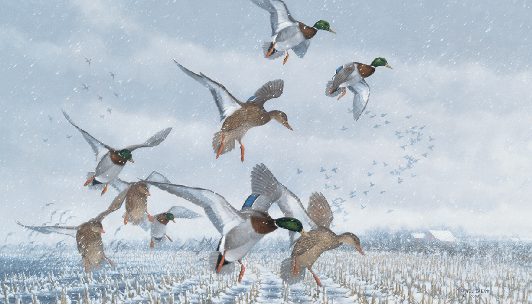 Triumph Calendars North American Waterfowl Calendar-3203