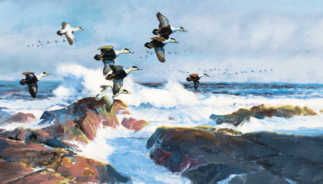 Triumph Calendars North American Waterfowl Calendar-3203