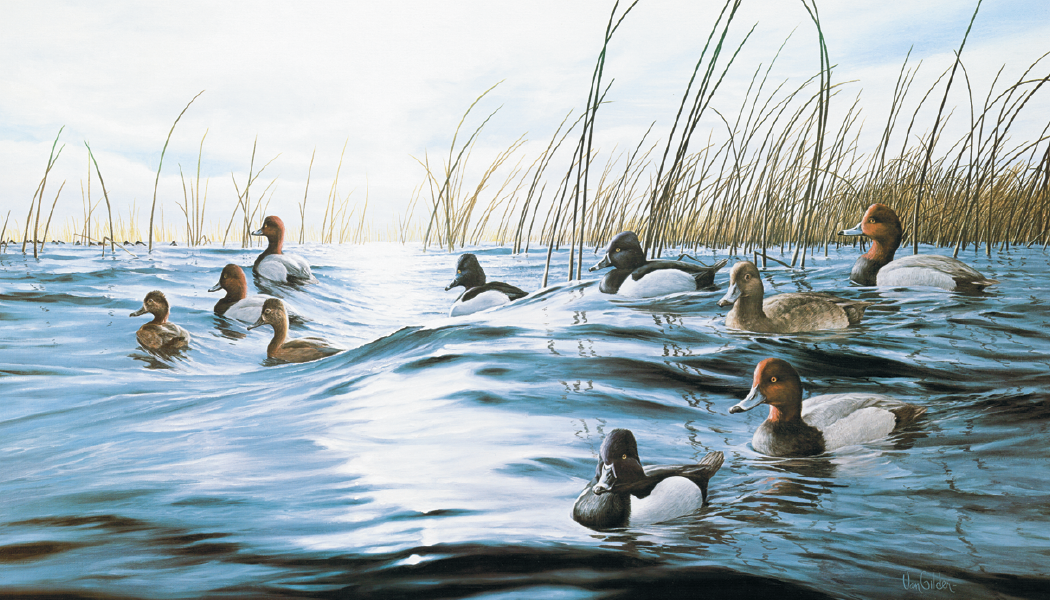 Triumph Calendars North American Waterfowl Calendar-3203
