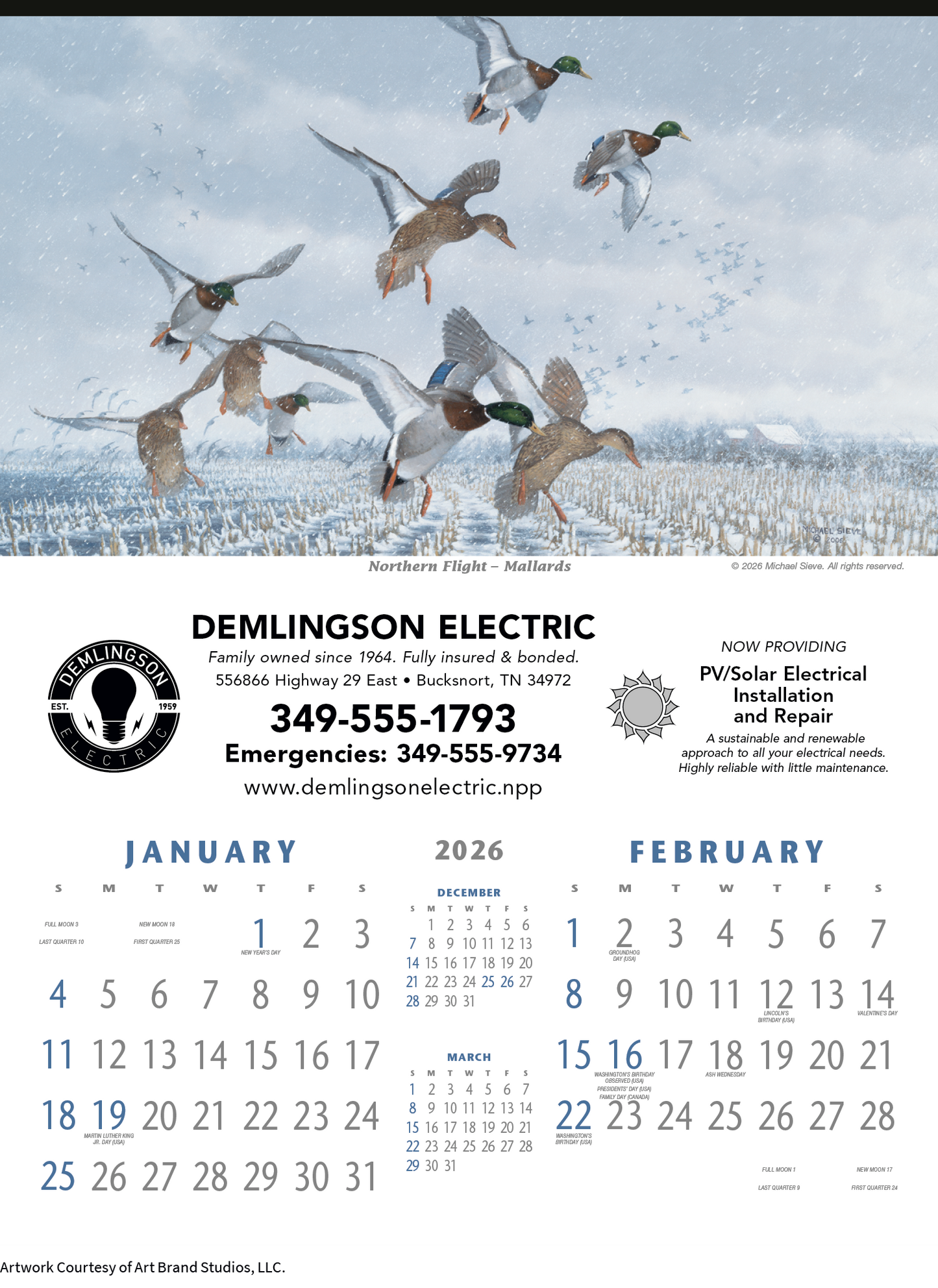 Triumph Calendars North American Waterfowl Calendar-3203