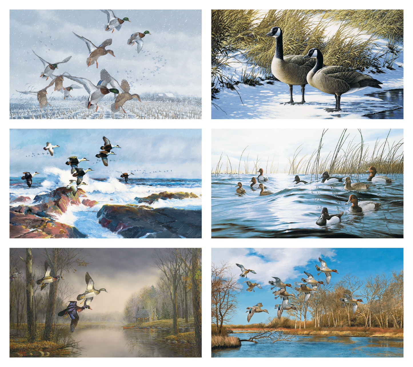 Triumph Calendars North American Waterfowl Calendar-3203