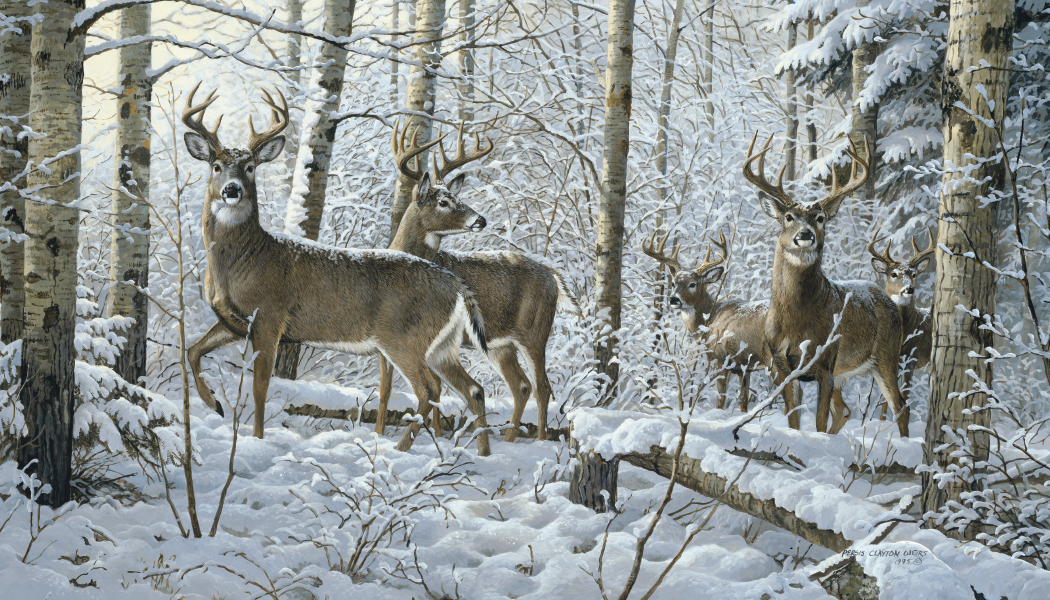 Triumph Calendars Wildlife Art Calendar-3208