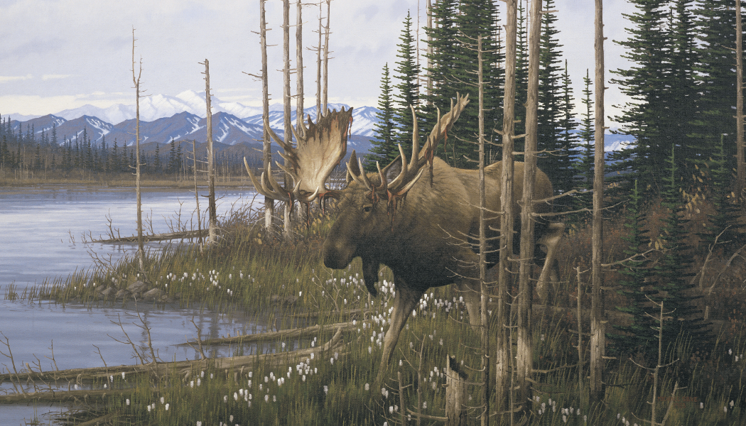 Triumph Calendars Wildlife Art Calendar-3208