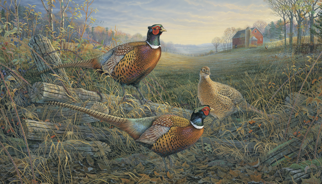 Triumph Calendars Wildlife Art Calendar-3208