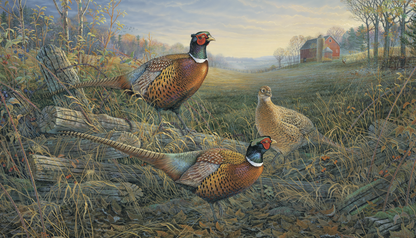 Triumph Calendars Wildlife Art Calendar-3208