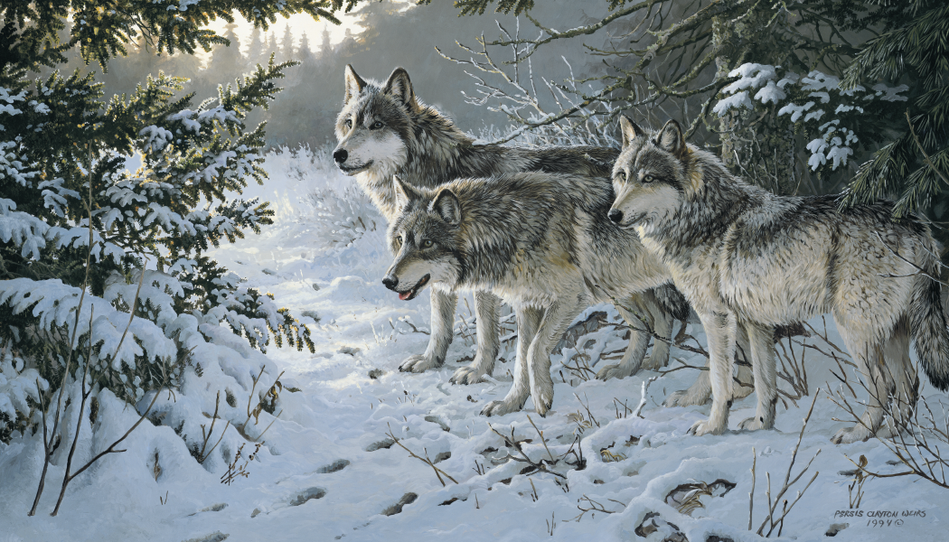 Triumph Calendars Wildlife Art Calendar-3208