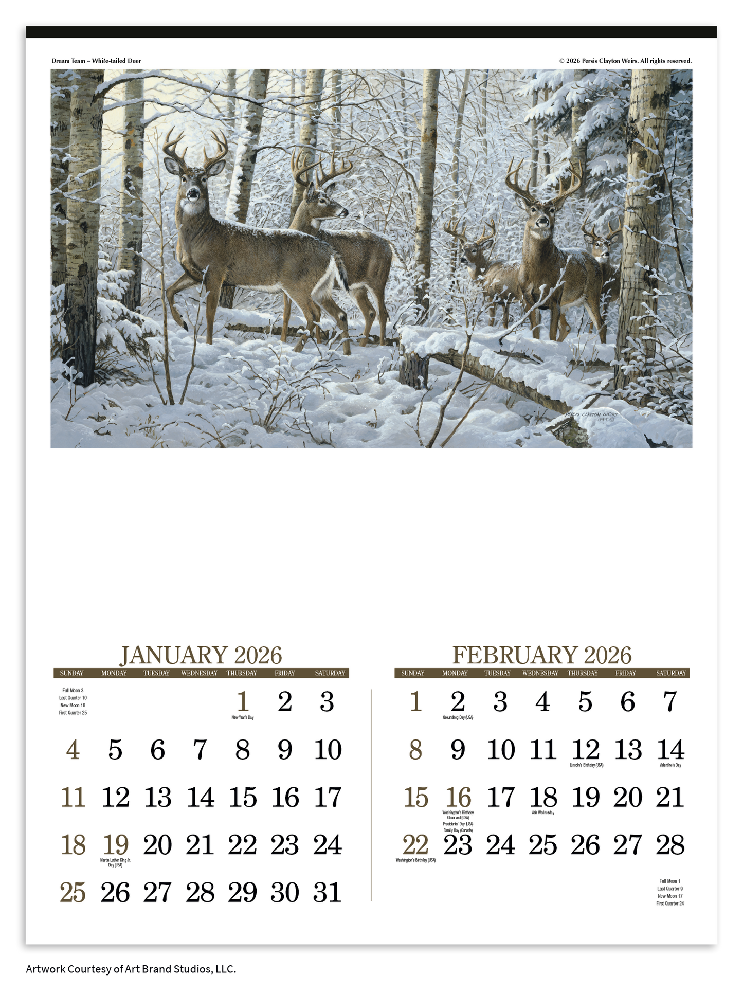 Triumph Calendars Wildlife Art Calendar-3208