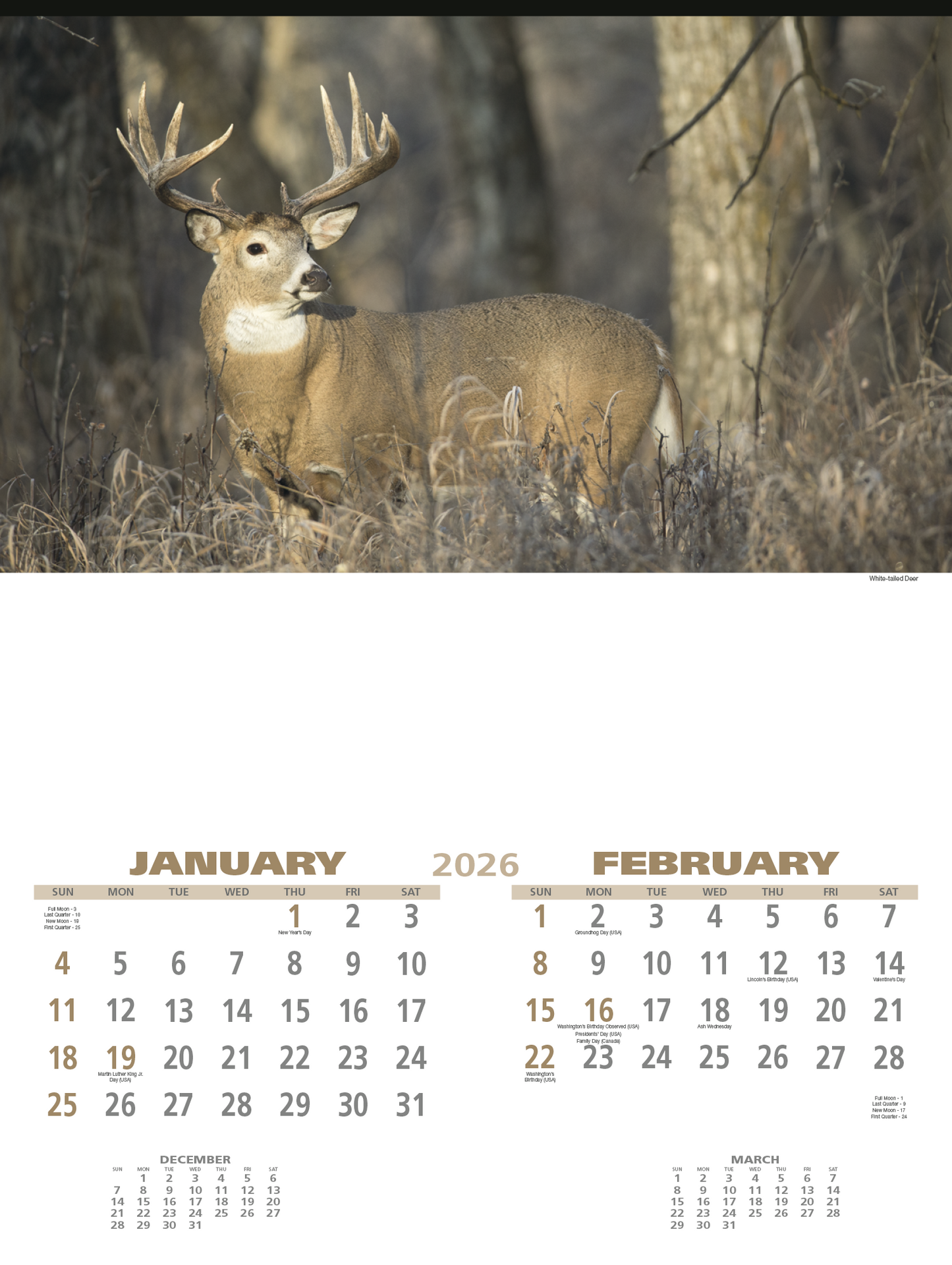 Triumph Calendars Wildlife Calendar-3213