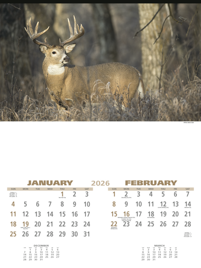 Triumph Calendars Wildlife Calendar-3213