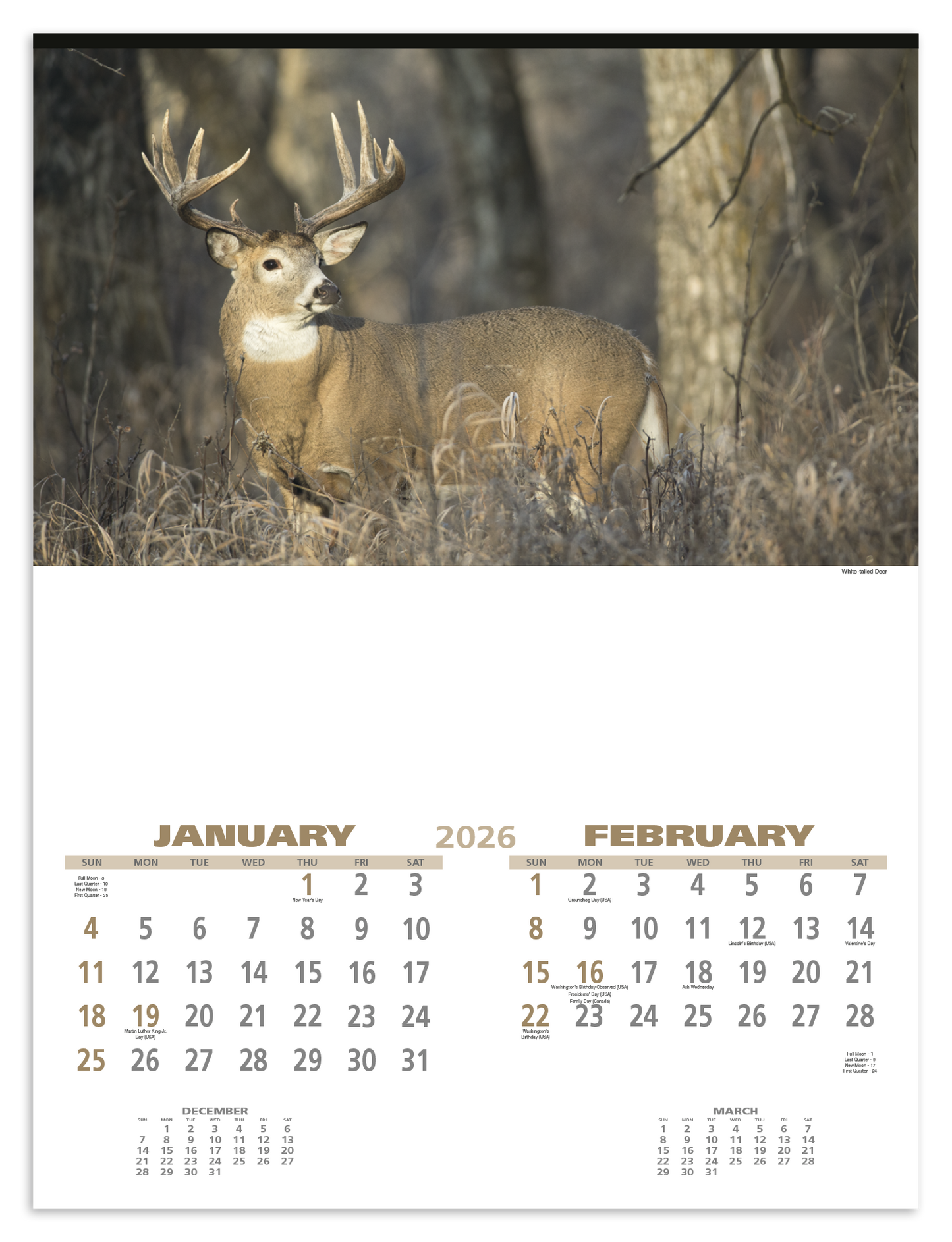 Triumph Calendars Wildlife Calendar-3213