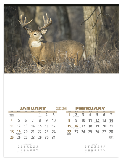 Triumph Calendars Wildlife Calendar-3213
