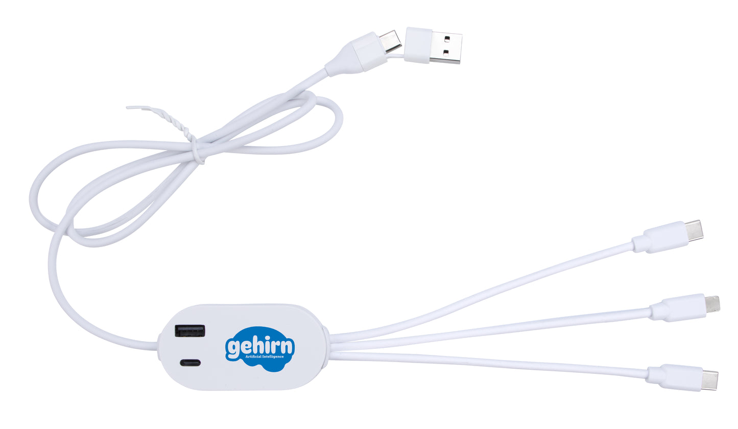 Good Value DualLink Charging Cable 2A with USB Hub-32524