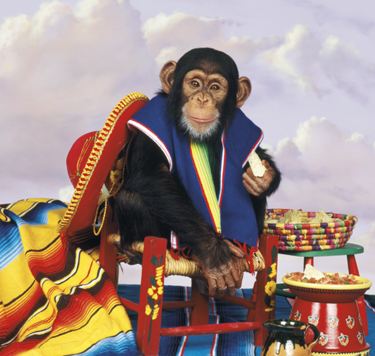 Triumph Calendars Monkey Business Calendar-3300