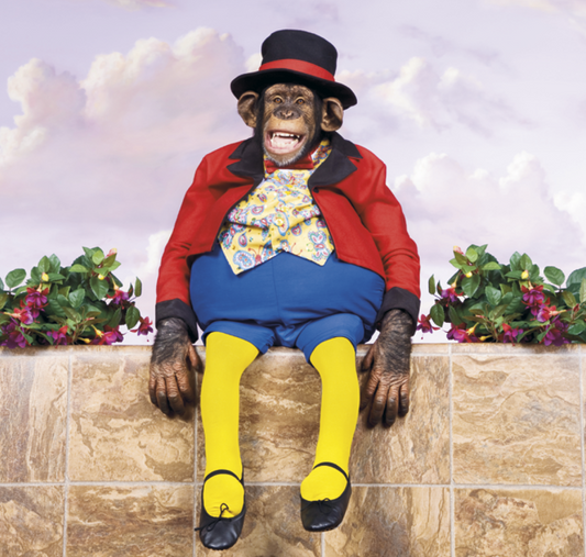 Triumph Calendars Monkey Business Calendar-3300