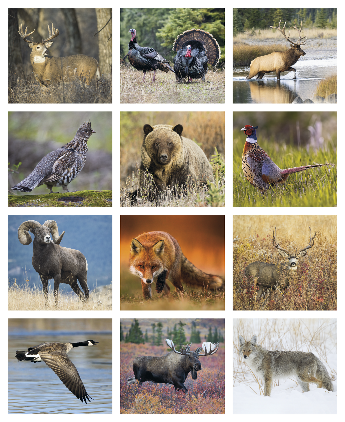 Triumph Calendars Sportsman Calendar-3301