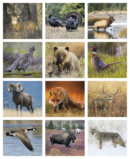 Triumph Calendars Sportsman Calendar-3301