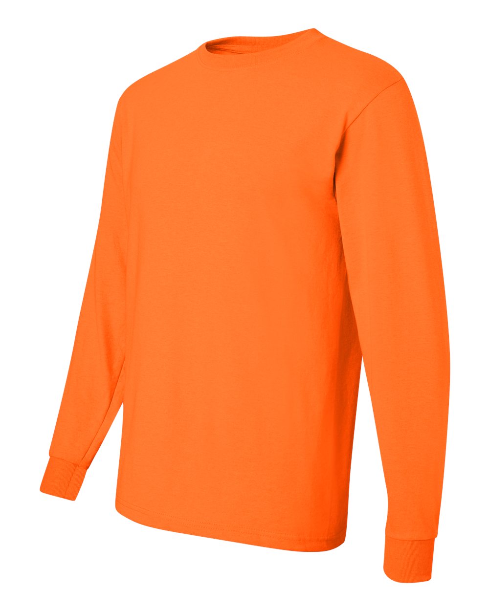 Image for 34231_fl.jpg