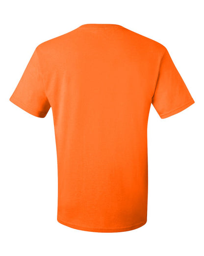 Image for 34233_b_fl.jpg