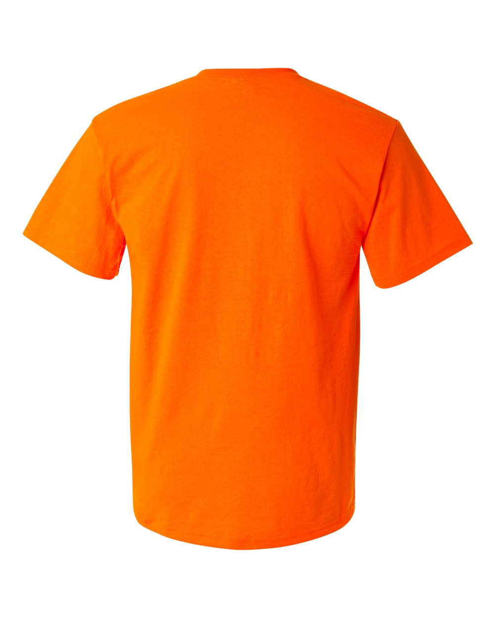 Image for 34236_b_fl.jpg