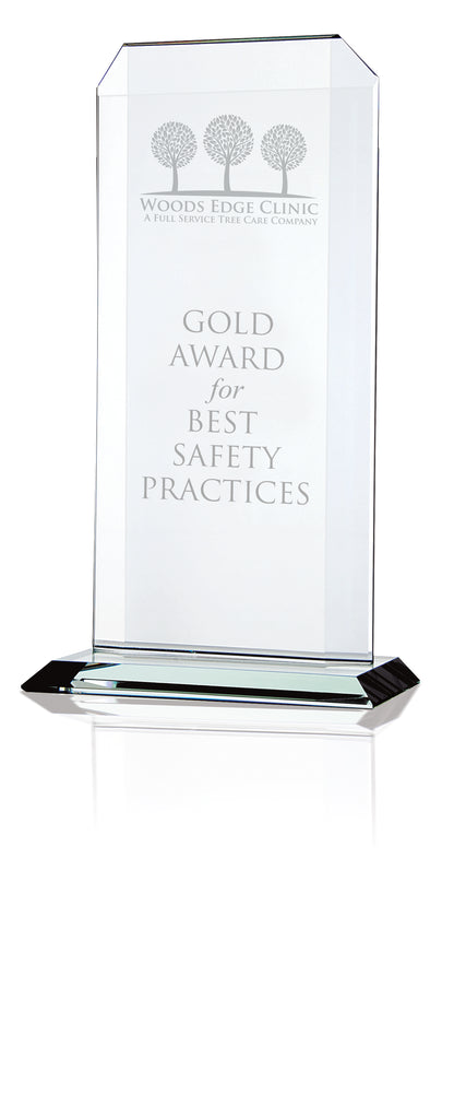 JAFFA Starfire Echo Award  Large-35227