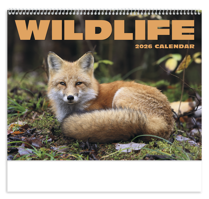 HotLine Products Wildlife Appointment Calendar  Spiral-403