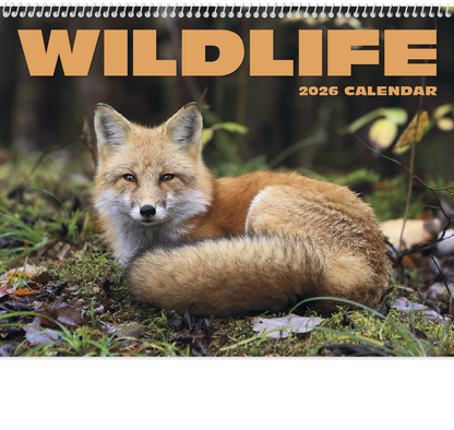 HotLine Products Wildlife Appointment Calendar  Spiral-403