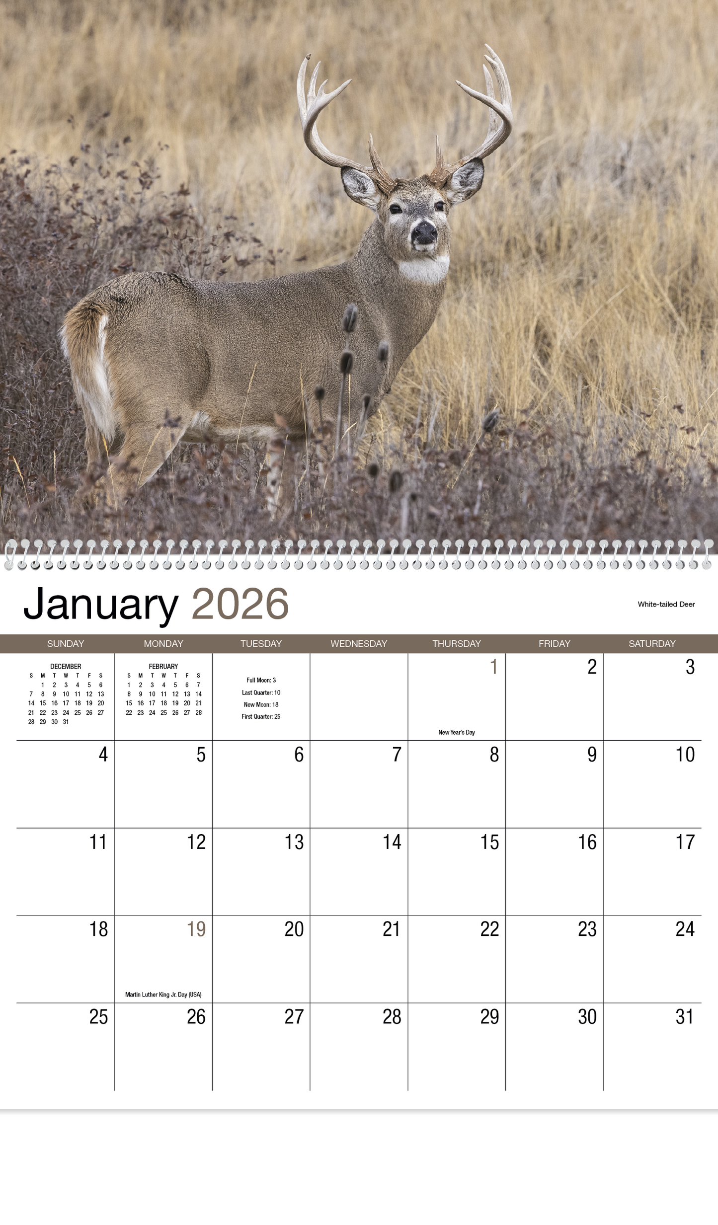 HotLine Products Wildlife Appointment Calendar  Spiral-403