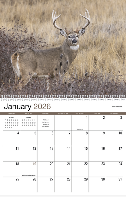 HotLine Products Wildlife Appointment Calendar  Spiral-403