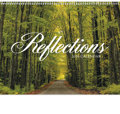 HotLine Products Reflections NonDenominational Appointment Calendar  Spiral-406