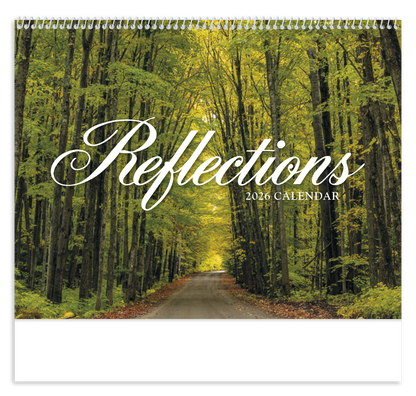 HotLine Products Reflections NonDenominational Appointment Calendar  Spiral-406