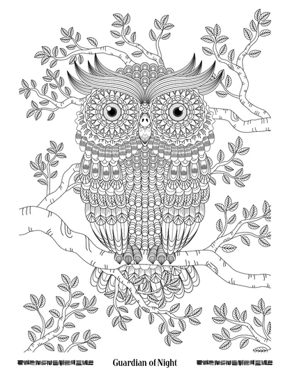Good Value Wild Wonders Adult Coloring Book-41040