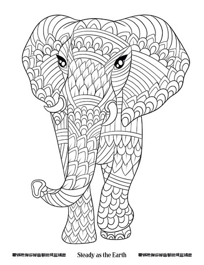 Good Value Wild Wonders Adult Coloring Book-41040