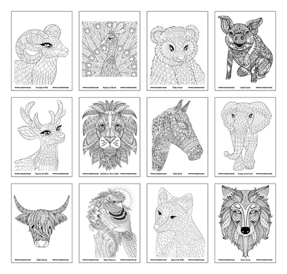 Good Value Wild Wonders Adult Coloring Book-41040