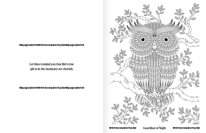 Good Value Wild Wonders Adult Coloring Book-41040