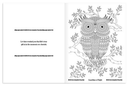 Good Value Wild Wonders Adult Coloring Book-41040