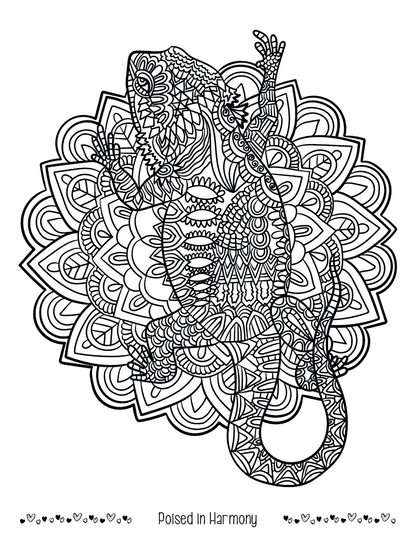 Good Value Unwind with Pets Adult Coloring Book-41269