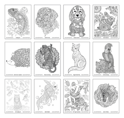 Good Value Unwind with Pets Adult Coloring Book-41269