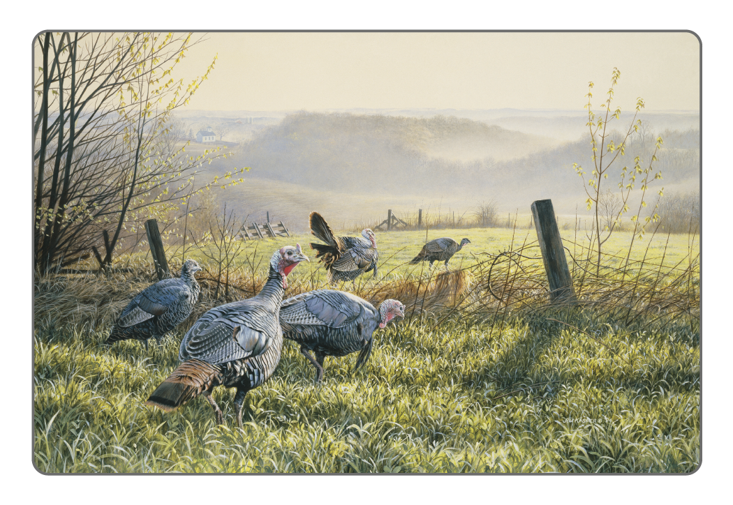 Triumph Calendars Wildlife Art Pocket Calendar-4153