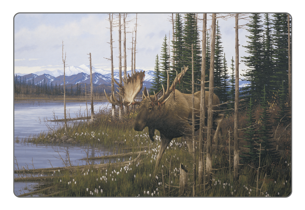 Triumph Calendars Wildlife Art Pocket Calendar-4153