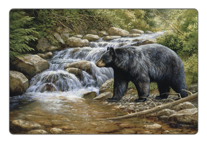 Triumph Calendars Wildlife Art Pocket Calendar-4153
