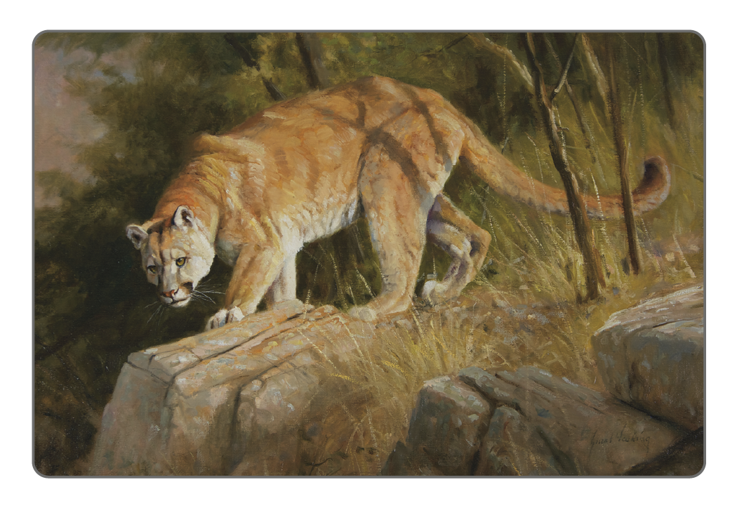 Triumph Calendars Wildlife Art Pocket Calendar-4153