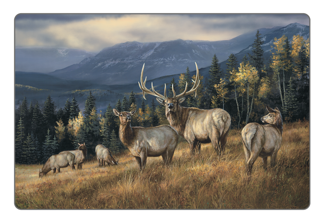 Triumph Calendars Wildlife Art Pocket Calendar-4153