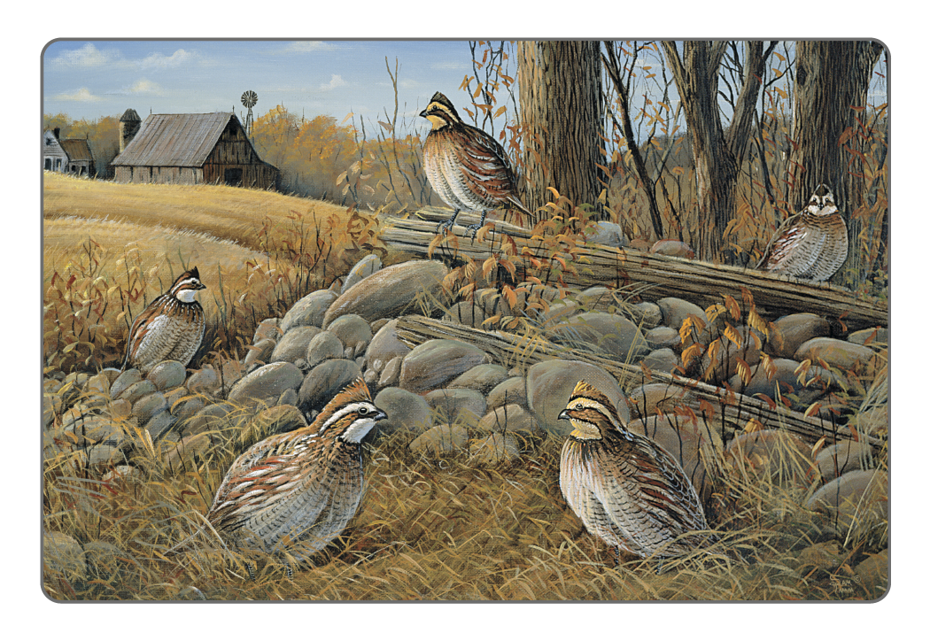 Triumph Calendars Wildlife Art Pocket Calendar-4153