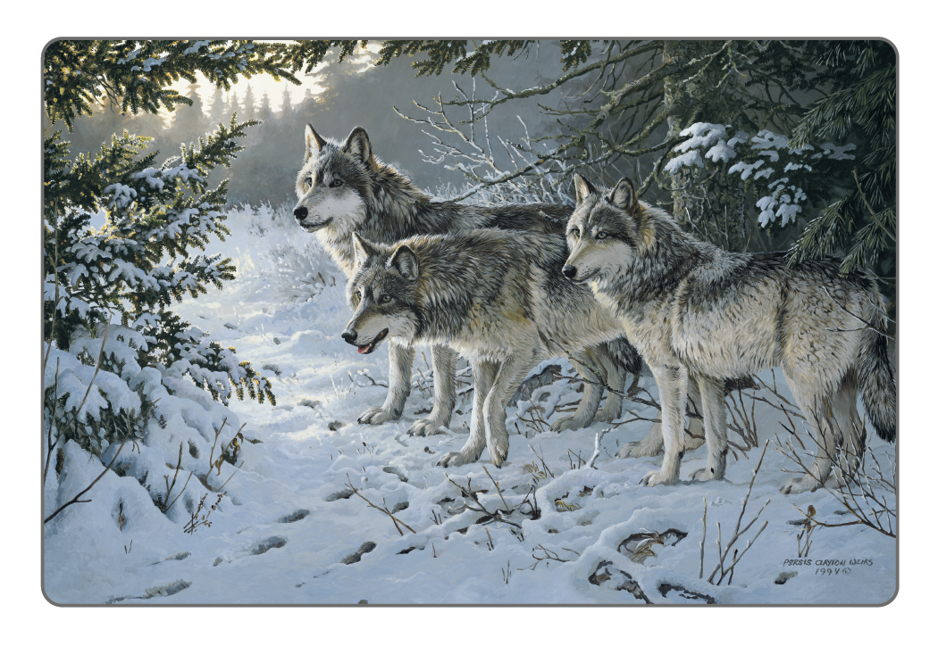 Triumph Calendars Wildlife Art Pocket Calendar-4153