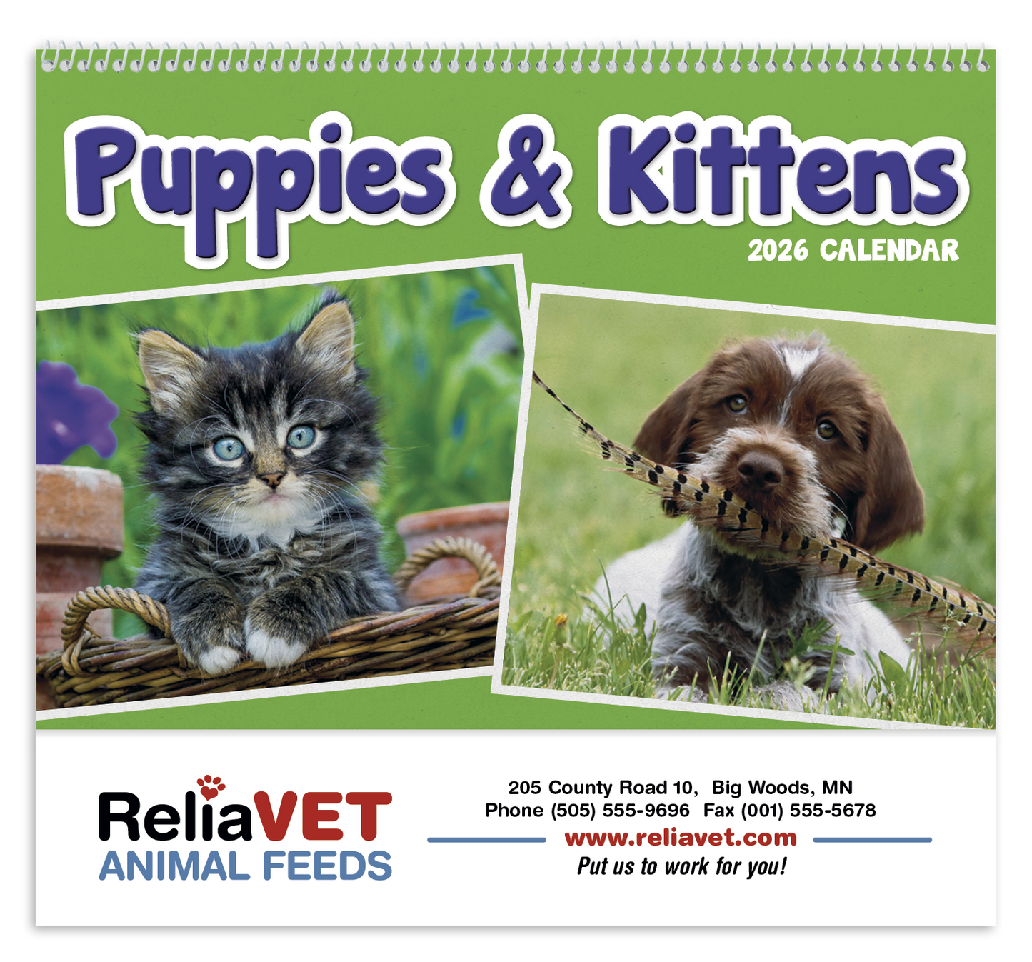 Triumph Calendars Puppies  Kittens Pocket Calendar-4155