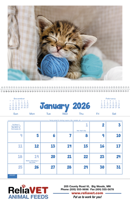 Triumph Calendars Puppies  Kittens Pocket Calendar-4155