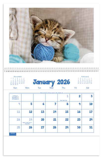 Triumph Calendars Puppies  Kittens Pocket Calendar-4155