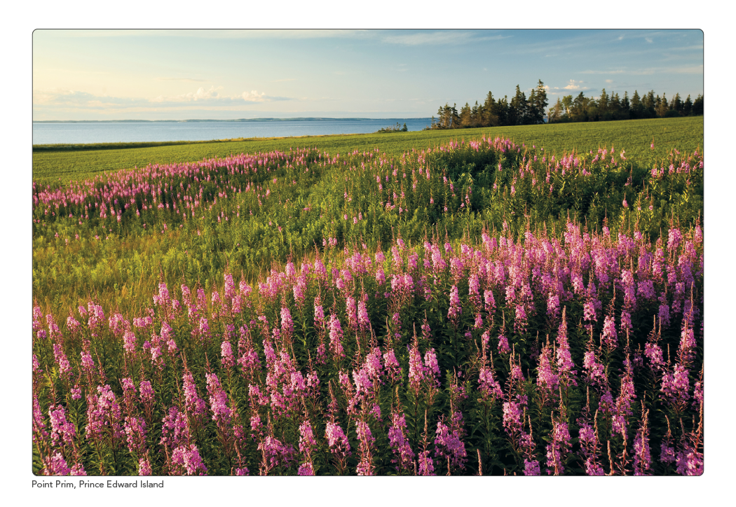 Triumph Calendars Canadian Scenic Pocket Calendar-4160